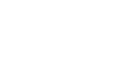 おすすめの一皿